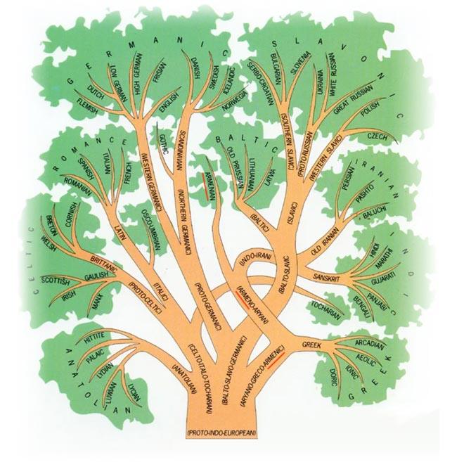 Proto Indo European Languages Tree